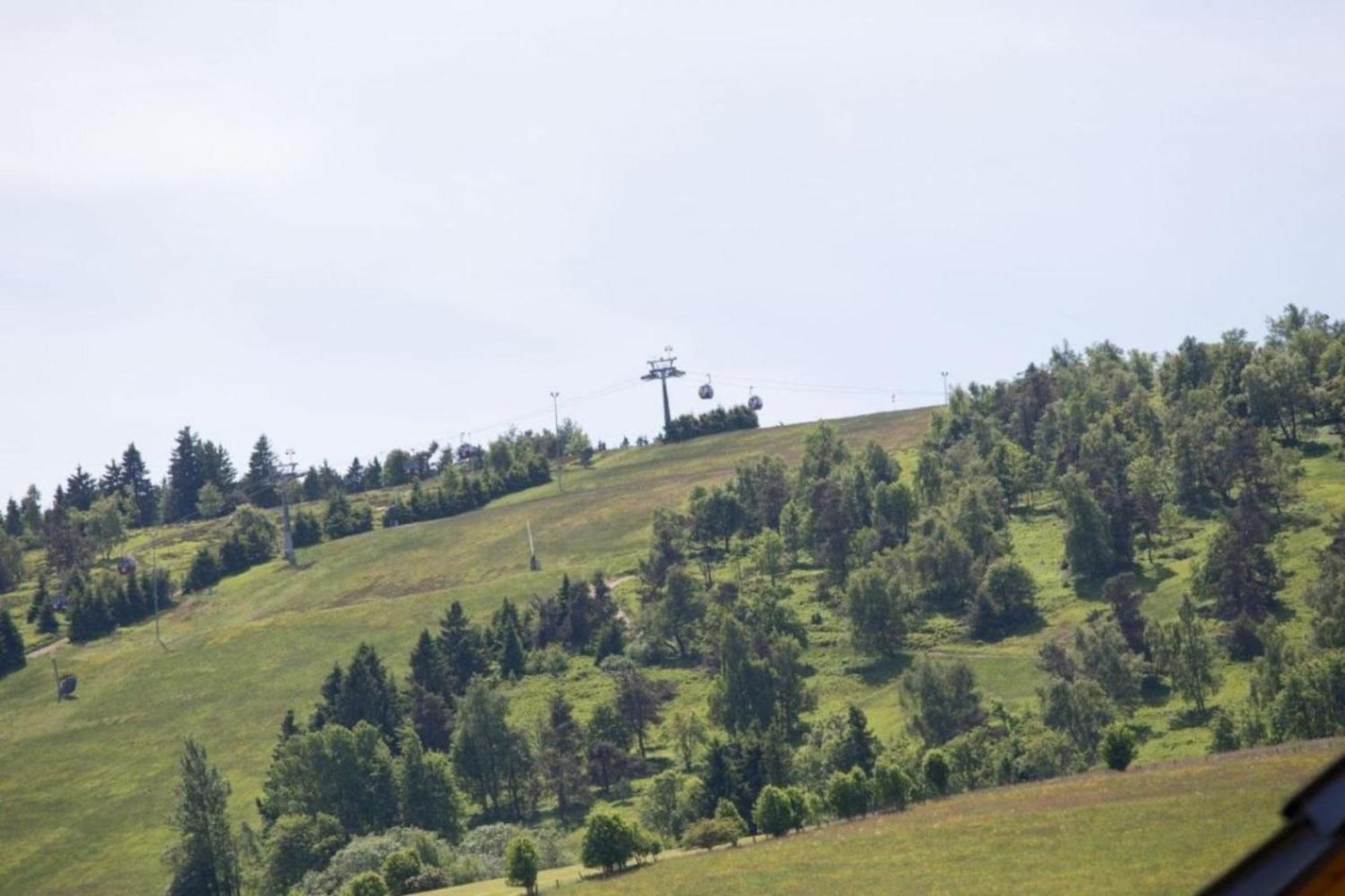 Ferienhaus Easy Holiday Am Ritzhagen Ehem Heinrichs Willingen  Εξωτερικό φωτογραφία
